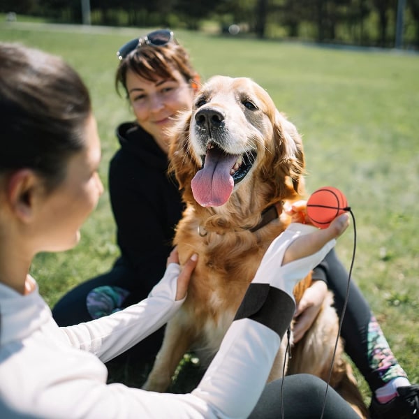 6 kappaletta rannepalloa Rannepallo Urheilupallo (Sekoitettu hiusväri) Ranneke Kuminen kimpoilupallo Rannekoru Lelut Koripallo Baseball ja Jalkapallo f