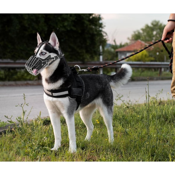 Hundemusling, Hund Metall Ansiktskurv, Hund Munn Pustende Justerbar Lærsele Passer for Store Middelsstore Hunder (L)