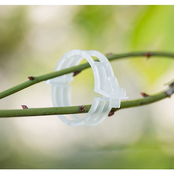 200 sæt genanvendelige plastik planteclips planteclips / sengeclips / plastik bundet vinstokclips / bundet grenclips / hængende vinstokclips / bundet planteclips / f
