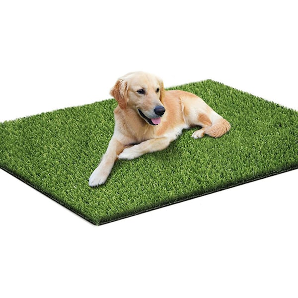 Kunstig hundegress for hund, kunstig plenmatte for å lære valpen renslighet, vaskbar plenmatte, gress for tiss for hundeavfall (50 × 70 cm)