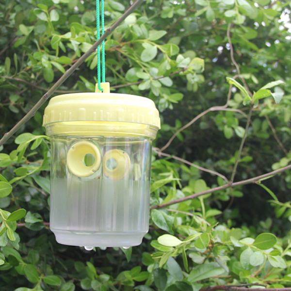 Wasp Fly Trap Duo Hängande Getingsfälla, Genomskinlig, Max 200 ml