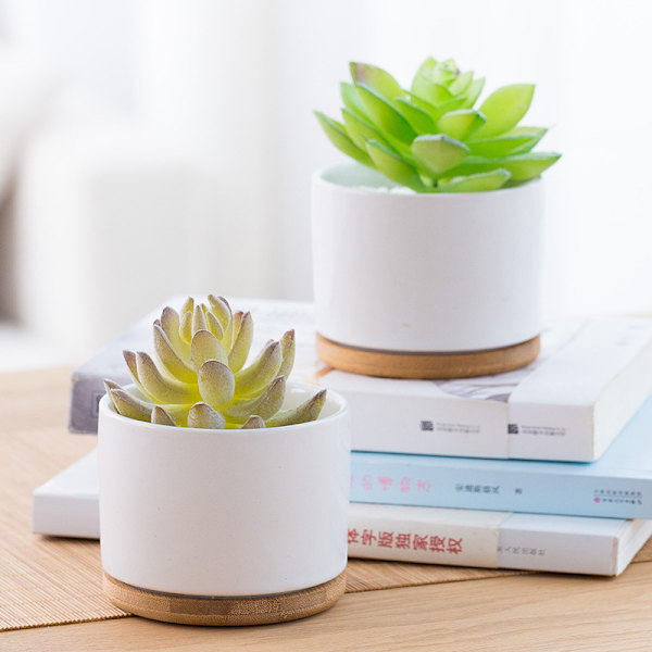 Suckulent Planter, Vit Mini Keramik Planter utan Bambubricka, 2-pack - Växter ingår ej