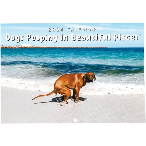 2024-kalender med hundar som bajsar på vackra platser Väggkonst Månatlig familjekalender Hundpresentkalenderhänge