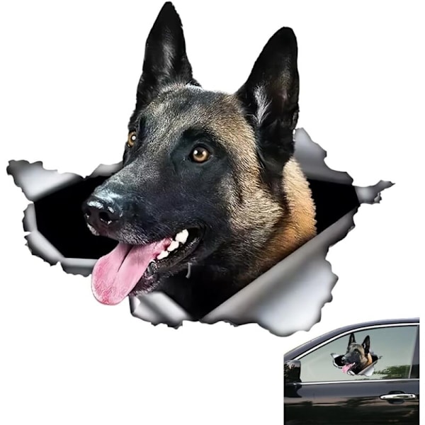 Bilsticker 20 cm bilsticker Malinse hund stor hund bilsticker trasig 3D-sticker av företagshunds-sticker