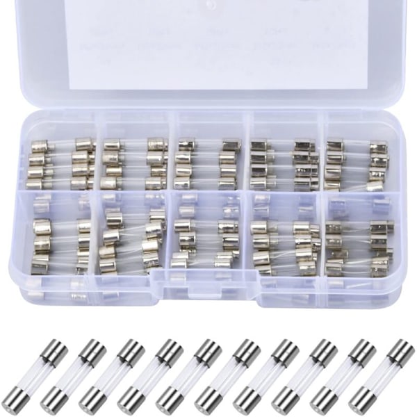 100 stk. Smeltesikring af glas, 5 x 20 mm 250V Sortiment af glassikringer 0,2A, 0,5A, 1A, 2A, 3A, 5A, 8A, 10A, 15A, 20A, Verre Verre Verre Frove til husholdningsbrug