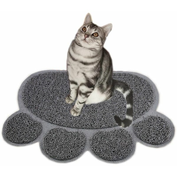 Katt Katt Katt Katt Katt Matta För Katt Katt Katt Katt Matta Katt Katt Katt Katt Matta För Grå Grå Katt