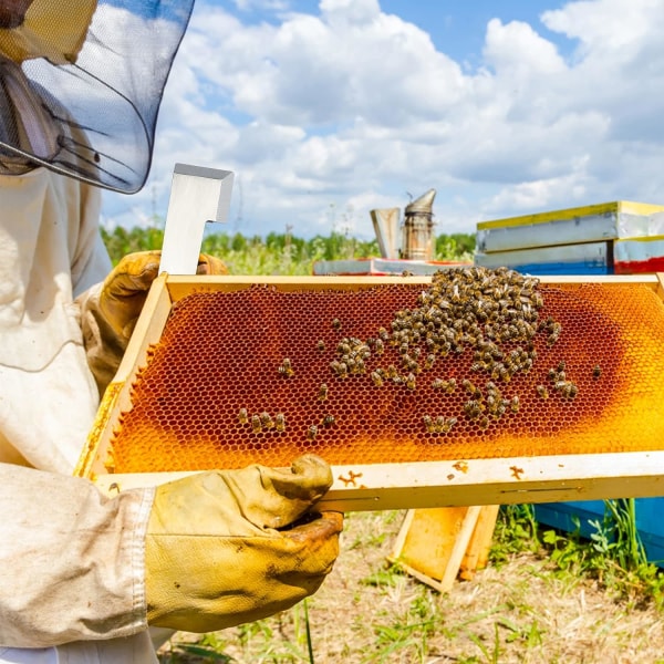 Ruostumattomasta teräksestä valmistettu mehiläispesäkehys nostin mehiläishoitajatyökalun koukkutyyppi Scr