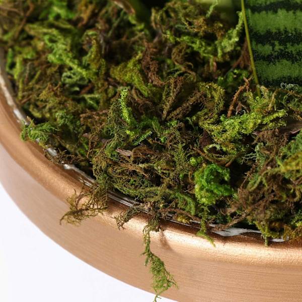 3 stk kunstig mose falsk falsk frisk grønn mose dekorativ falsk bulk mose for blomsterplante hage plen håndverk dekorasjon