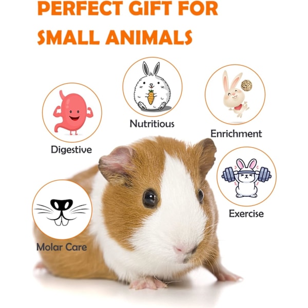 Hamster og marsvin legetøj tilbehør naturlige tyg kanin tænder kanin mus chinchilla gemmested