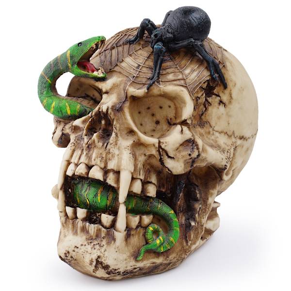 Slange dyre kranie model harpiks kranie håndværk ornamenter Halloween dekoration horror tilbehør film rekvisitter