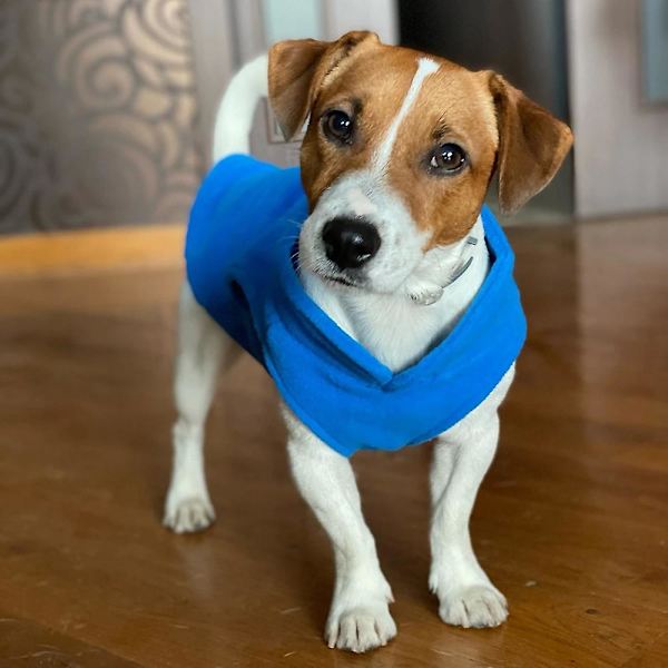Varm Fleece Hundkläder Husdjur Hundjacka Väst Med D-ring För Liten Hund Kattkläder Fransk Bulldogg Kostymer Chihuahua Rock(M)