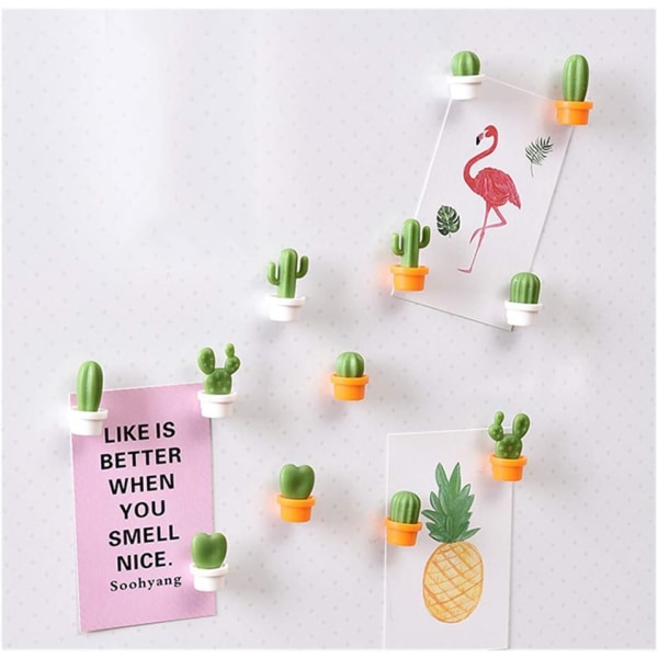 Decorative fridge magnets perfect for home, office, personal use 12Pcs Cactus 12 cacti.