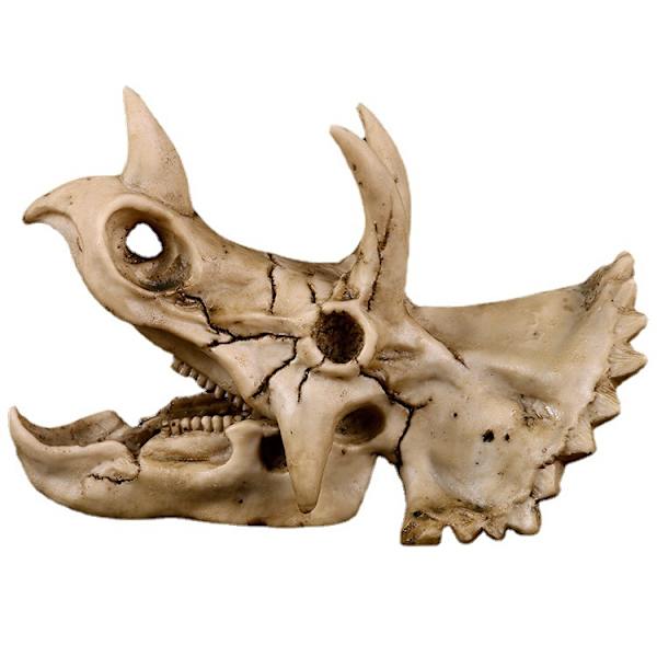 Harpiks Dinosaur Triceratops Dinosaur Skull Akvarium Fisk Tank Dekorasjoner Hule Landskap for Slange, Fisk, Reker
