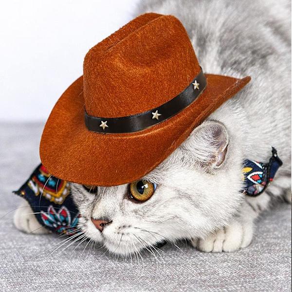 Lemmikki Koira Cowboy Hat Cosplay Cap Pentu Lemmikki Koira Kissa Loma Asu Lemmikki Juhla Koristelu