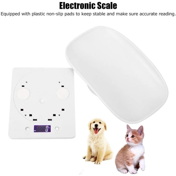 IC 10kg/1g digital våg för smådjur för exakt mätning