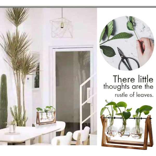Plante med træstøtte, blomsterpotte i glas, drejelig metalstøtte, retro bord til hydroponics, ho, have, skrivebord, dekoration - 3 pærer