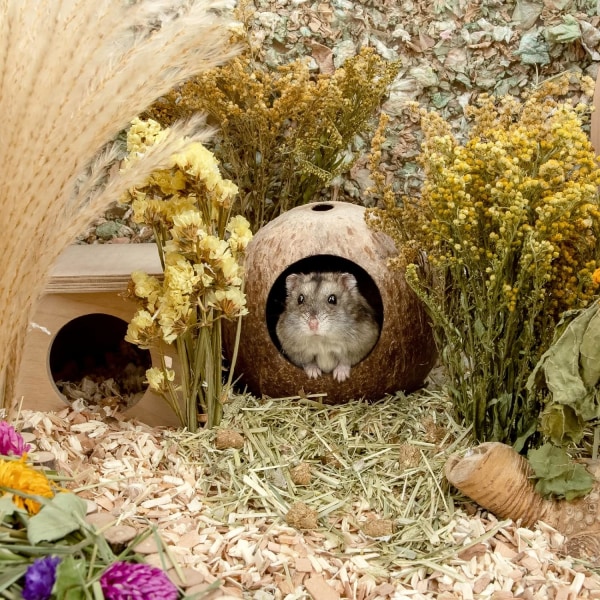 Kookosmökin hamsteritalon sänky gerbiilin hiiri pieneläinhäkin elinympäristön koristelu