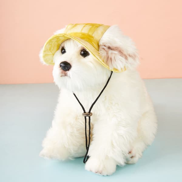 (Gul) Kjæledyr Baseball Cap Utendørs Dekor Hund Lerrete Hode Dekor Utendørs Hodeplagg Valp Solhatt Hund Hodeplagg Hodeplagg