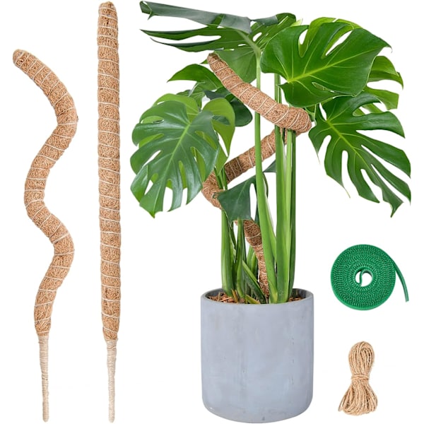 Bøjelig mosstang til planter, 2 x 23,6 tommer mosstangssæt til klatreplanter Håndlavede slanke plantestokke til indendørs planter