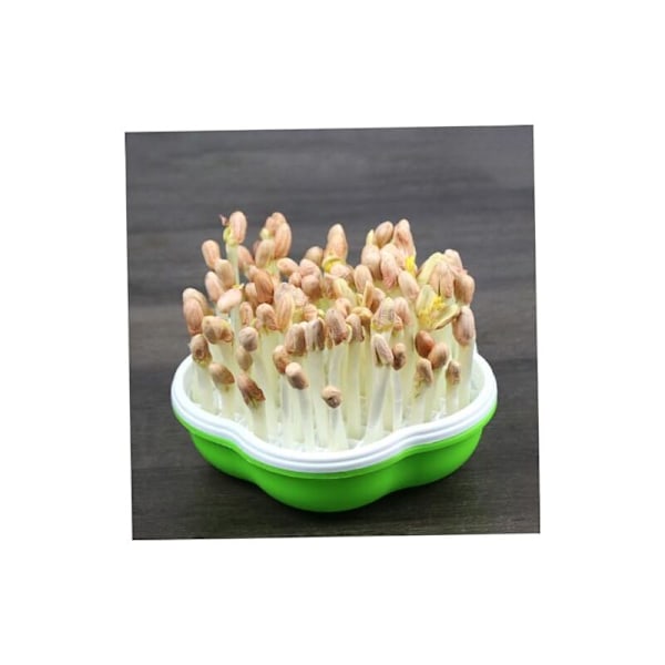 20x14cm 2 Sæt Grøntsagsbakke spireplatforme platforme spireplatforme til frøplanter heste- planteskoleplatforme ernæringsmæssig plast porøs c