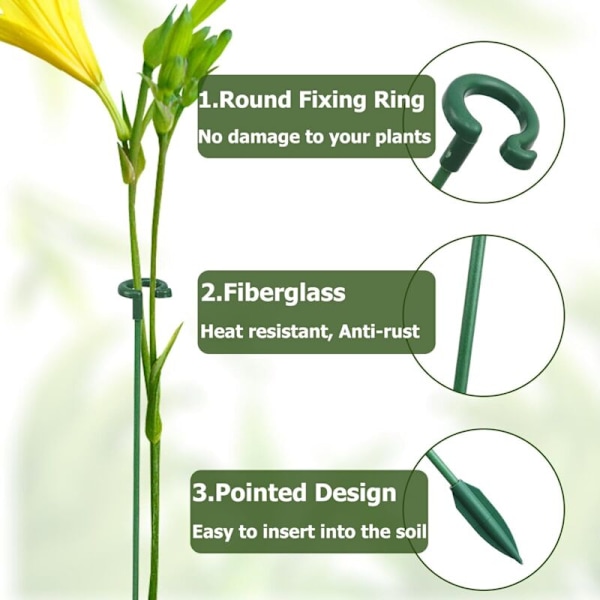 Plantstöd, 30 stycken växtstödspinnar, 17cm/27cm/37cm återanvändbart växtstöd för inomhusbruk, fixering för växttillväxt, lämpligt för pioner