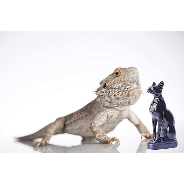 Egyptisk katt-ornament, ett stykke (4,2 tommer, svart)