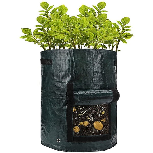 6-pack 7 gallon plantering Odlingspåsar, odla krukor för potatis, halm