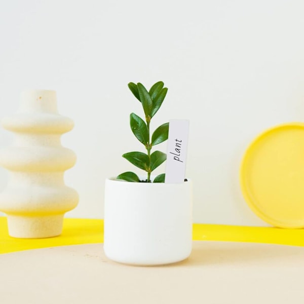 Sæt med 100 etiketter til haveplanter, 51 cm plastik plantemærker og vandtætte - hvid grå