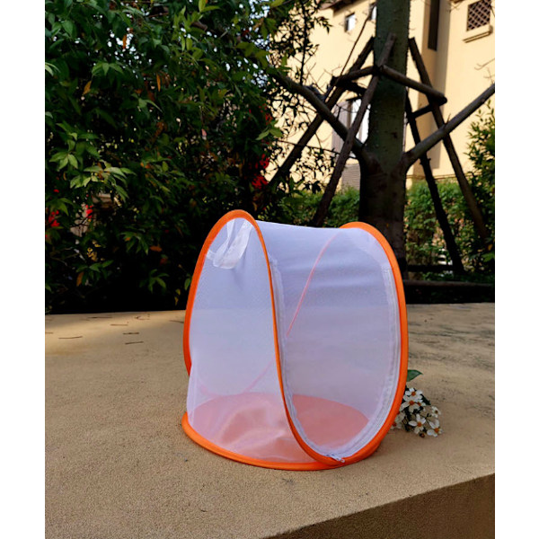Orange Mini Plante Drivhustelt med Transparent Dække Beskyttet Plante Gro Hus, Bærbar Foldbar Havearbejde Plante Dække Beskytter Net Observatio