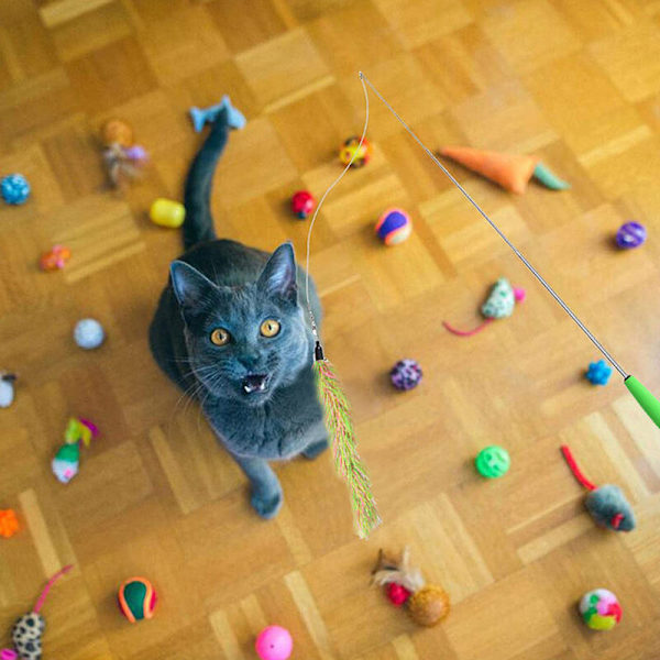 Pet Fit For Life Worms Teaser och Exerciser för Katt och Kattunge - Interaktiv Kattleksak Kattspö, grön