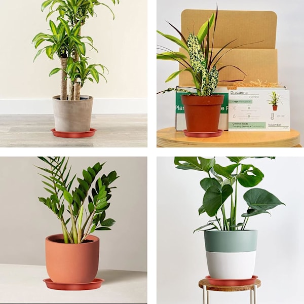 Set om 5 (Brun) Blomkruka Fat 25cm Rund Bricka Plast Blomkruka Underlägg Växtkruka - för Inomhus och Utomhus