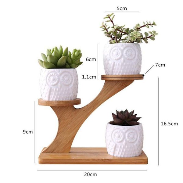 3 kpl/setti ruukku mehikasveille Ruukut Bonsai-ruukku Bambukasvien telineet Sasicare