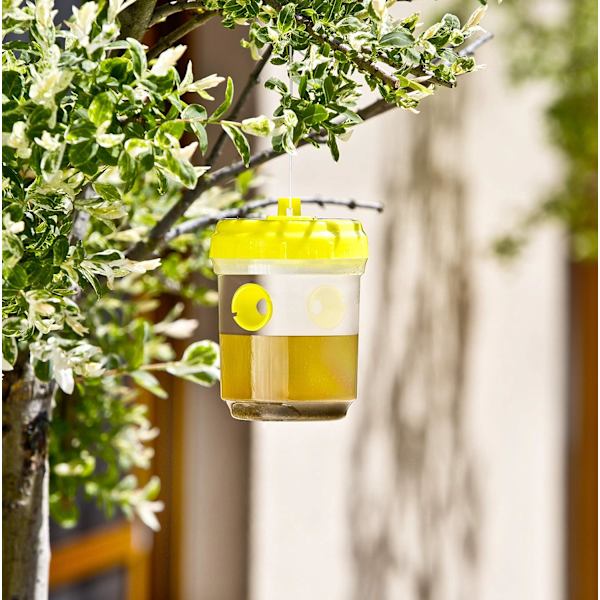 Wasp Fly Trap Duo Hängande Getingsfälla, Genomskinlig, Max 200 ml