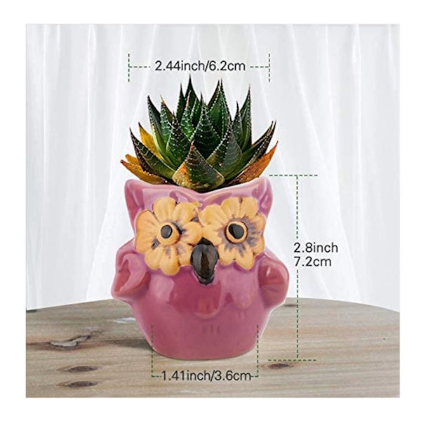 6 stycken suckulenta krukväxter mini uggla keramik blomkruka krukväxt bonsai kaktus present hem kontor fönsterbord dekoration