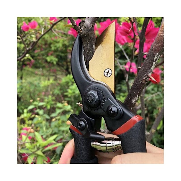 Hagesaks Stålblad og titan blomster meisler bypass tre ergonomiske håndtak