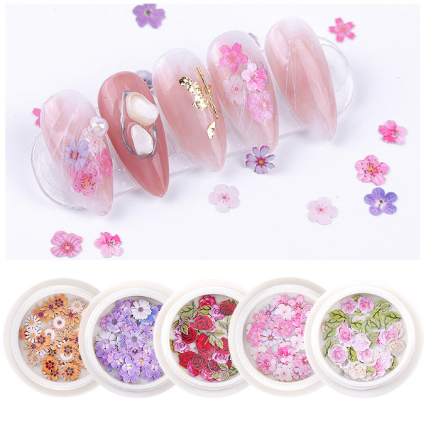 5 kinds of nail art dried flowers, nail art dried flowers, nail art stickers, nail art dried flower decoration accessories set