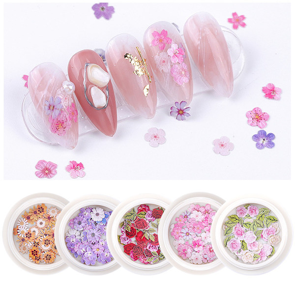 5 sorters torkade blommor för nagelkonst, torkade blommor för nagelkonst, nagelkonstdekaler, torkade blommor för nagelkonst, dekorationssats