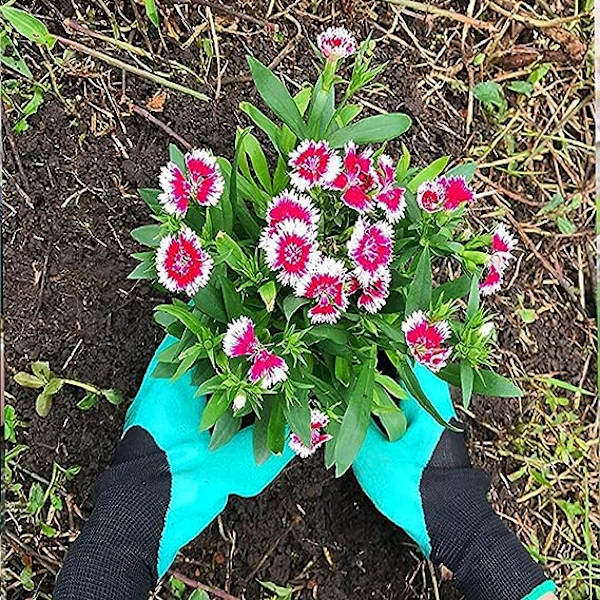 Trädgårdshandskar, lämpliga för plantering, trädgårdshandskar klo bästa trädgårdspresent