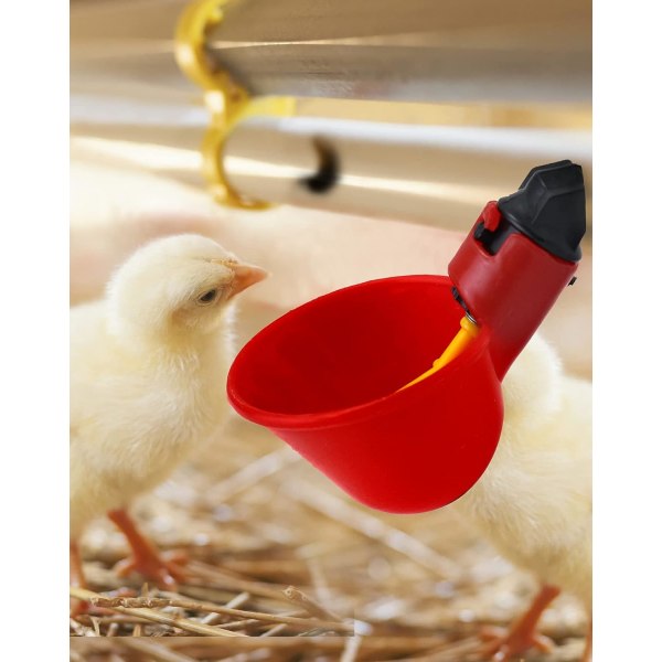 10 stk automatisk vanner for kyllinger, plastvanner for bir