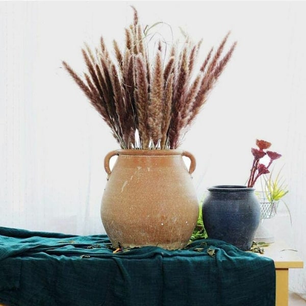 10 Pampagräs Naturtorkat Pampas Prydnad av torkade blommor (primärfärg)