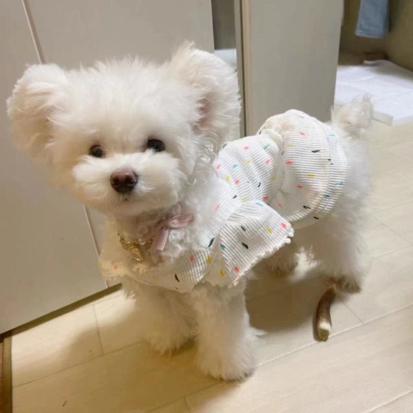 Dot Princess Klänning Husdjur Hundkläder Katt Tryck Kjol Kläder Hundar Tunn Liten Chihuahua Sommar Svart Vit Andningsbar Flicka Mops(M)