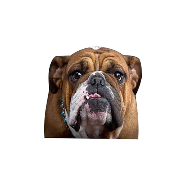 Bulldog Oikean Puolen Auton Ikkuna Vinyylitarra