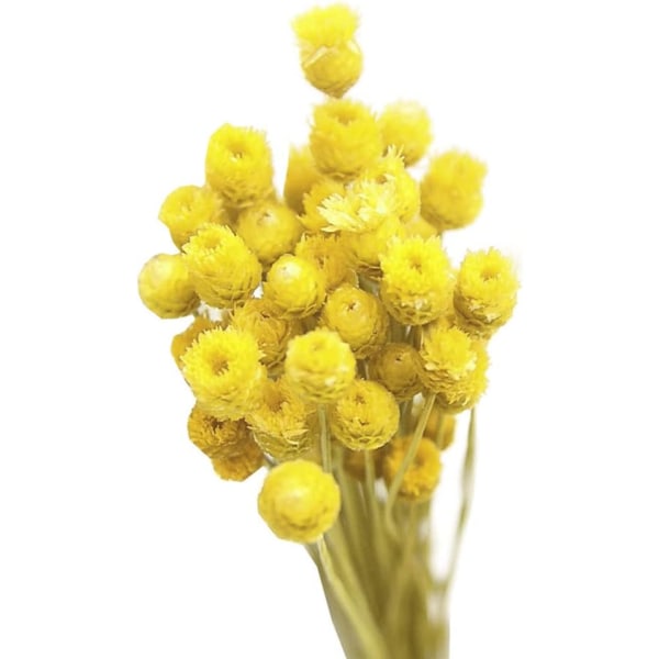 Gul - kunstige blomster, tørrede buketter naturlige buketter tørrede blomster dekorative vase bord 50 stilke orange