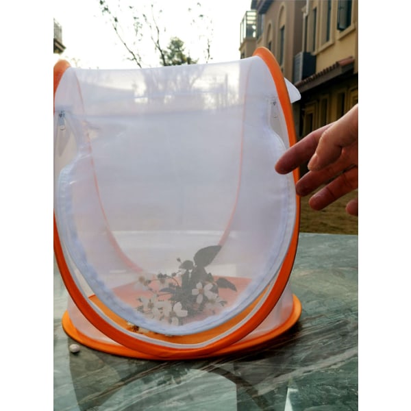 Oransje Mini Plant Drivhustelt med Transparent Cover Protecte
