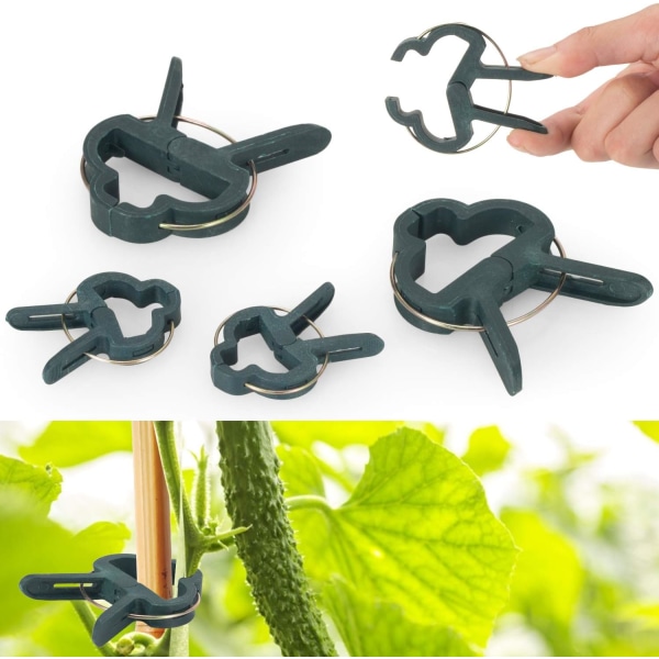 80 st justerbara växtstöd clips trädgårdsstake lock stödstruktur fastspänning för trädgård, vinstock, grönsaker, tomater (40 stora C)