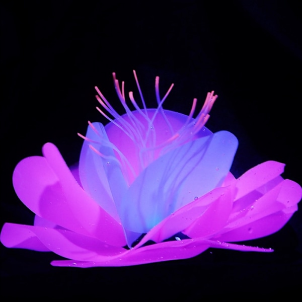 1 Pakk Fluorescerende Blomstrende Lotus Damblomster Kunstig Blomst Skum Flytende Blomst Dam Flytende Dekor Akvarium Kunstig Blomst Lotus Blomst