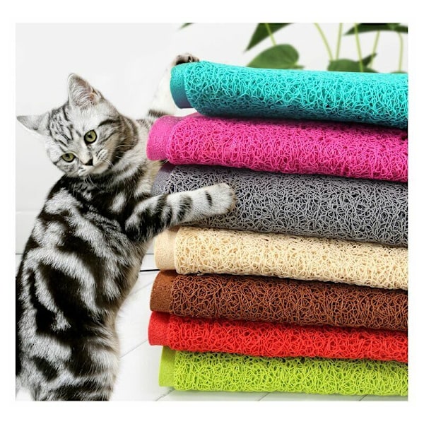 Katt Katt Katt Katt Katt Matta För Katt Katt Katt Katt Matta Katt Katt Katt Katt Matta För Grå Grå Katt