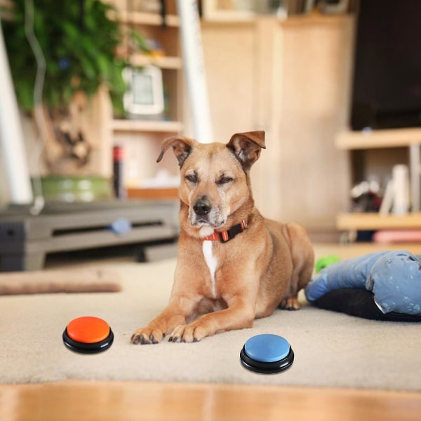 Inspelningsbar Hund Pratknapp Röst Ljud Interaktiv Leksak Husdjur Svar Buzzer_h
