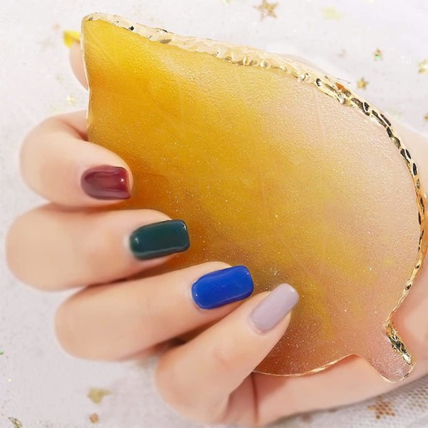 By the Starry Sky Leaf Shaped Resin Nail Art Palette Gel Polish C