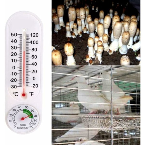 Växthus Termometer Hygrometer, Termometer Min Max Min Klassisk Design Trädgårdsväxt Digital Temperatur Luftfuktighet Vägg Hacc
